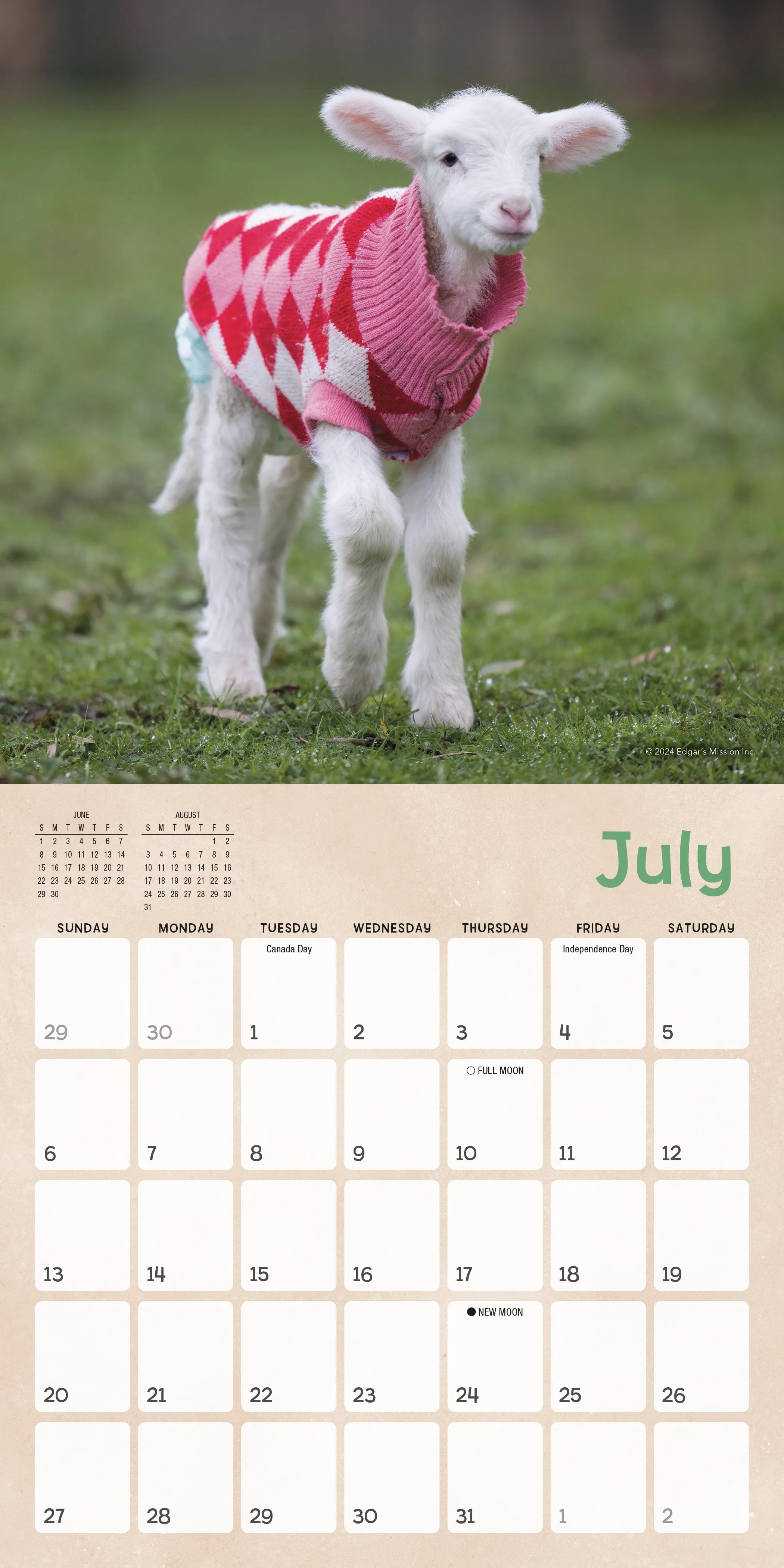 2025 Lambies in Jammies & Goats in Coats Mini Wall Calendar