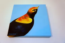 An Eyeful - Bird Portrait Painting