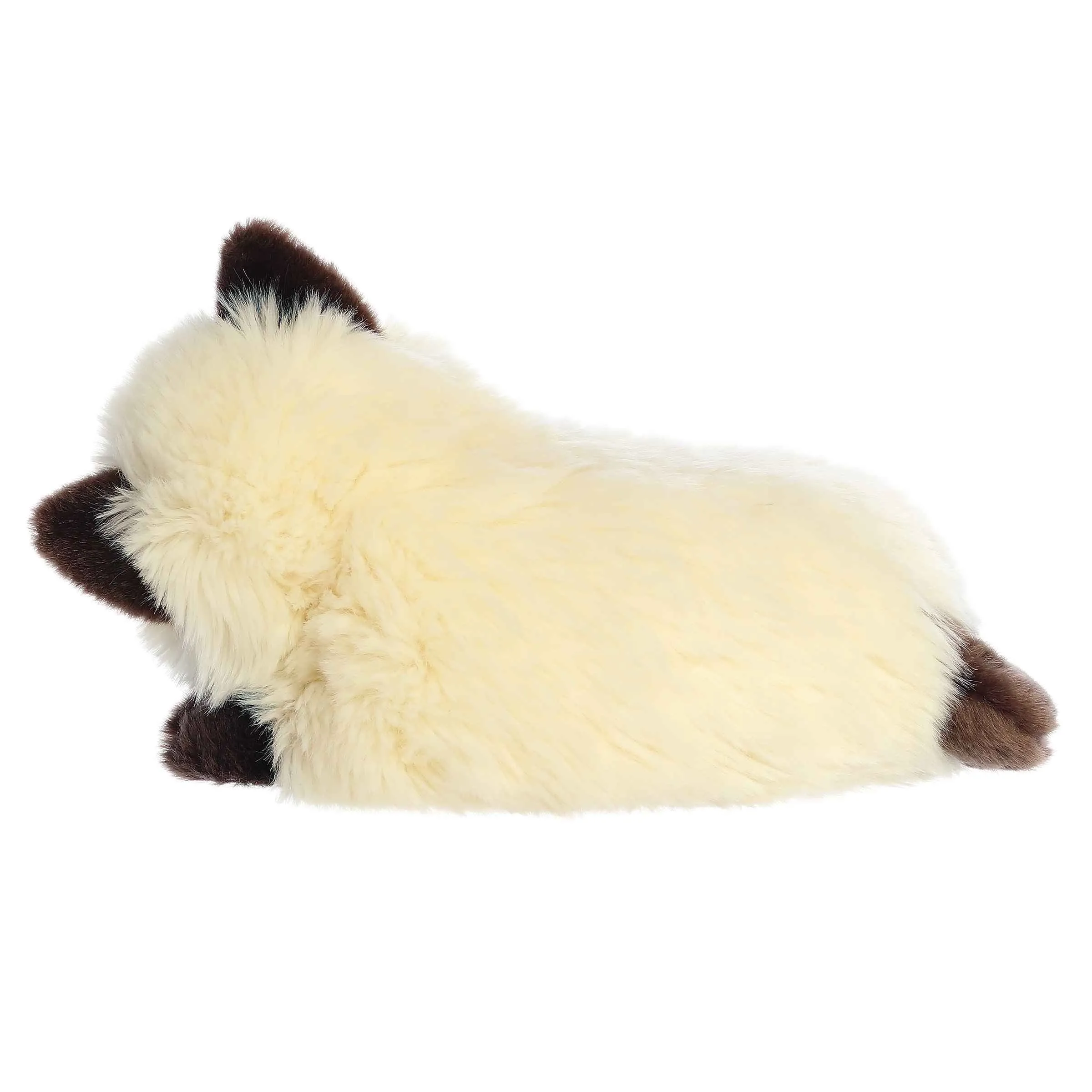 Aurora® - Miyoni® Tots - 10" Sleepy Himalayan Kitten