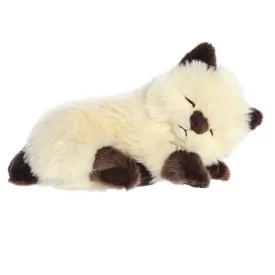 Aurora® - Miyoni® Tots - 10" Sleepy Himalayan Kitten