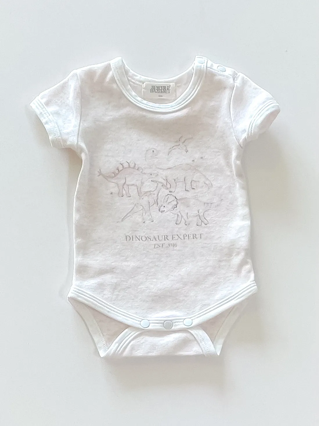 Bencer & Hazelnut dinosaur expert bodysuit (0-3m)