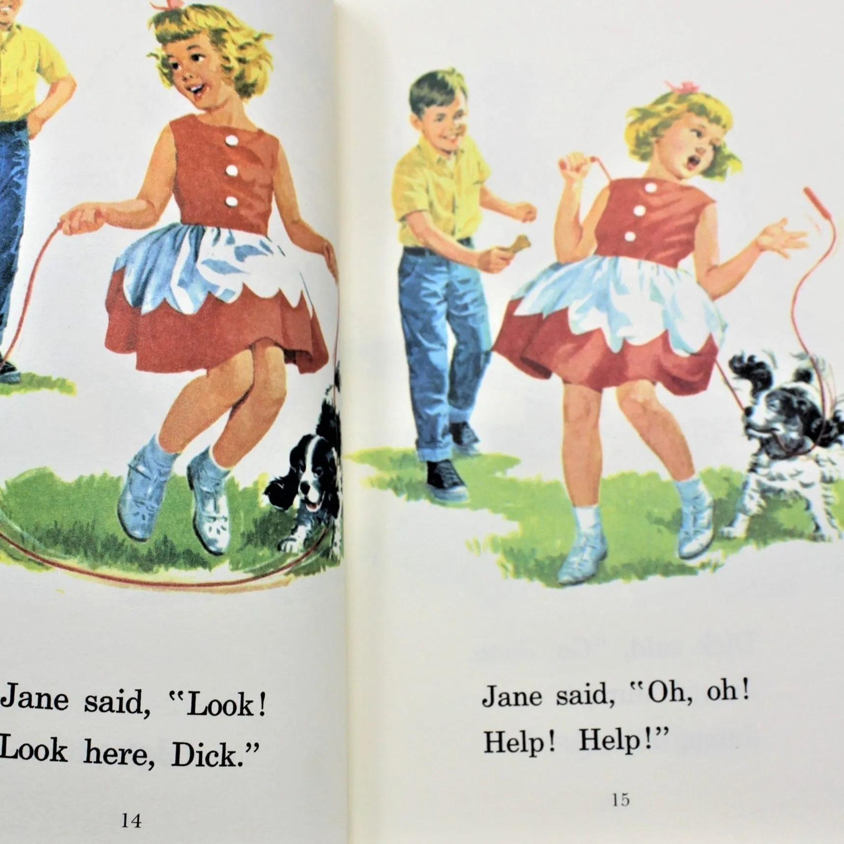 Children's Book, Dick and Jane, Fun with our Family, Vintage 1993