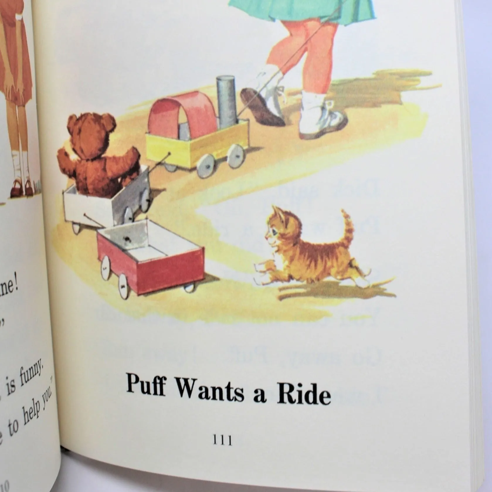 Children's Book, Dick and Jane, Fun with our Family, Vintage 1993