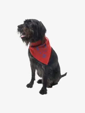 Insect Shield for Pets Paisley Bandana