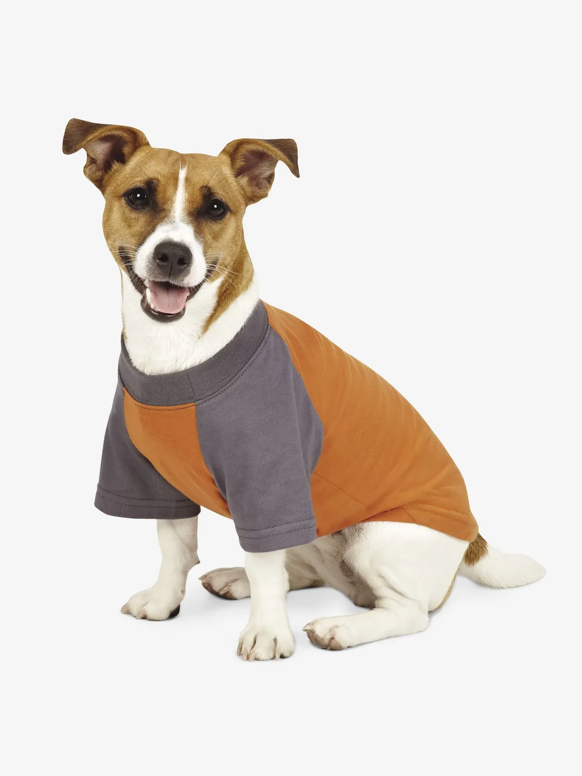 Insect Shield Premium Dog Tee