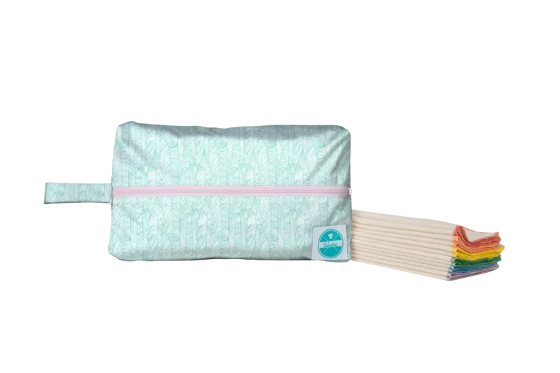 Luludew Wipe Bag & Wipes Set