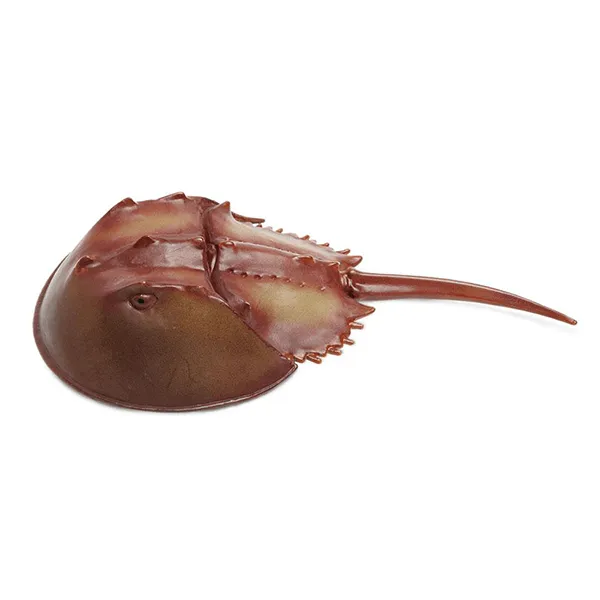 Safari Ltd. Horseshoe Crab